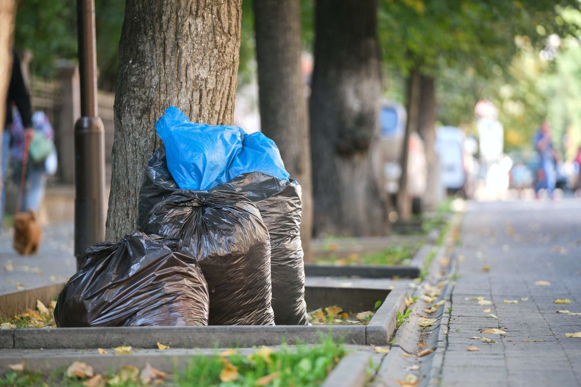 junk removal and pickup